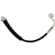 Purchase Top-Quality Front Brake Hose by RAYBESTOS - BH384427 pa4