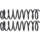 Purchase Top-Quality MOOG - 81220 - Front Coil Springs pa3