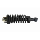 Purchase Top-Quality GSP NORTH AMERICA - 811318 - Suspension Strut and Coil Spring Assembly - Front pa1