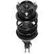 Purchase Top-Quality PRT - 818241 - Suspension Strut and Coil Spring Assembly pa3