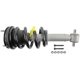 Purchase Top-Quality RANCHO - RS999901 - Front Complete Strut Assembly pa8