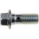 Purchase Top-Quality Front Hose To Caliper Bolt by DORMAN/HELP - 13936 pa1