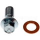 Purchase Top-Quality Front Hose To Caliper Bolt by DORMAN/HELP - 13936 pa7