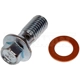 Purchase Top-Quality Front Hose To Caliper Bolt by DORMAN/HELP - 13936 pa9