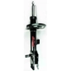 Purchase Top-Quality Front Strut by FCS AUTOMOTIVE - 331789L pa1