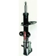 Purchase Top-Quality FCS AUTOMOTIVE - 331821 - Front Strut pa1