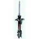 Purchase Top-Quality Front Strut by FCS AUTOMOTIVE - 333504L pa1