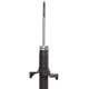 Purchase Top-Quality PRT - 473466 - Suspension Strut pa2