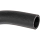 Purchase Top-Quality DORMAN (OE SOLUTIONS) - 573-097 - Fuel Filler Hose pa3