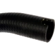 Purchase Top-Quality DORMAN (OE SOLUTIONS) - 573-166 - Fuel Filler Hose pa4