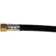 Purchase Top-Quality Fuel Line Assembly by DORMAN (OE SOLUTIONS) - 800-914 pa1