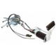 Purchase Top-Quality Fuel Pump Hanger Assembly by DELPHI - HP10007 pa1