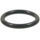 Purchase Top-Quality Fuel Rail O-Ring by BLUE STREAK (HYGRADE MOTOR) - SK58 pa5