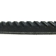 Purchase Top-Quality CONTINENTAL - 15411 - Dual V-Groove Serpentine Belt pa2