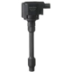 Purchase Top-Quality Ignition Coil by DELPHI - GN10734 pa13