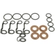 Purchase Top-Quality STANDARD - PRO SERIES - SK67 - Fuel Injector O-Ring Kit pa1