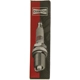 Purchase Top-Quality CHAMPION SPARK PLUG - 9055 - Iridium Plug pa6