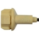 Purchase Top-Quality Lamp Socket by BLUE STREAK (HYGRADE MOTOR) - S100 pa43