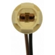 Purchase Top-Quality Lamp Socket by BLUE STREAK (HYGRADE MOTOR) - S100 pa46