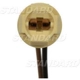 Purchase Top-Quality Lamp Socket by BLUE STREAK (HYGRADE MOTOR) - S100 pa50