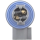 Purchase Top-Quality BLUE STREAK (HYGRADE MOTOR) - S2290 - License Plate Light Socket pa14