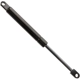 Purchase Top-Quality Lift Support by FCS AUTOMOTIVE - 86831 pa1