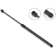 Purchase Top-Quality STABILUS - 3B898679 - Lift Support pa1