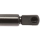 Purchase Top-Quality Lift Support by STRONG ARM - 6255 pa7