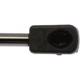 Purchase Top-Quality Lift Support by STRONG ARM - 6831 pa8