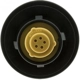 Purchase Top-Quality Locking Fuel Cap by MOTORAD - MGC771 pa7