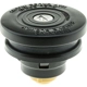 Purchase Top-Quality Locking Fuel Cap by MOTORAD - MGC91 pa10