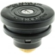 Purchase Top-Quality Locking Fuel Cap by MOTORAD - MGC91 pa12