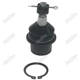 Purchase Top-Quality PROMAX - B12K80996 - Suspension Ball Joint pa1