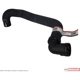 Purchase Top-Quality Lower Radiator Or Coolant Hose by MOTORCRAFT - KM4994 pa1