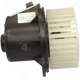 Purchase Top-Quality New Blower Motor With Wheel by FOUR SEASONS - 75713 pa11