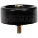 Purchase Top-Quality New Idler Pulley by DORMAN/TECHOICE - 419-700 pa1