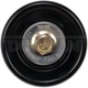 Purchase Top-Quality New Idler Pulley by DORMAN/TECHOICE - 419-700 pa3