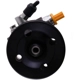 Purchase Top-Quality PWR STEER - 60-5975P - Steering Power Steering Pump pa1