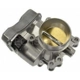 Purchase Top-Quality New Throttle Body by BLUE STREAK (HYGRADE MOTOR) - S20098 pa2