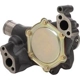 Purchase Top-Quality New Water Pump by DAYCO - DP10031 pa1