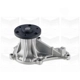 Purchase Top-Quality GRAF - PA1217 - Water Pump pa1