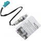 Purchase Top-Quality Oxygen Sensor by DELPHI - ES20151 pa17