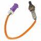 Purchase Top-Quality Oxygen Sensor by MOTORCRAFT - DY1152 pa1