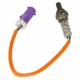 Purchase Top-Quality Oxygen Sensor by MOTORCRAFT - DY1152 pa3