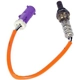 Purchase Top-Quality Oxygen Sensor by MOTORCRAFT - DY1152 pa7