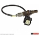 Purchase Top-Quality Oxygen Sensor by MOTORCRAFT - DY1272 pa1