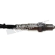 Purchase Top-Quality WALKER PRODUCTS - 250-25118 - Oxygen Sensor pa2