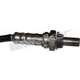 Purchase Top-Quality Oxygen Sensor by WALKER PRODUCTS - 350-34066 pa4