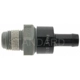 Purchase Top-Quality BLUE STREAK (HYGRADE MOTOR) - V369 - PCV Valve pa1