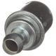 Purchase Top-Quality STANDARD - PRO SERIES - V243 - PCV Valve pa2